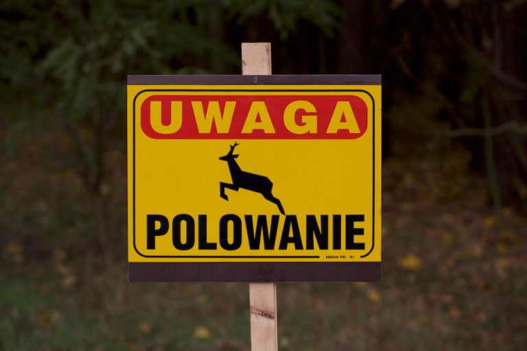 3 listopada – Polowanie zbiorowe